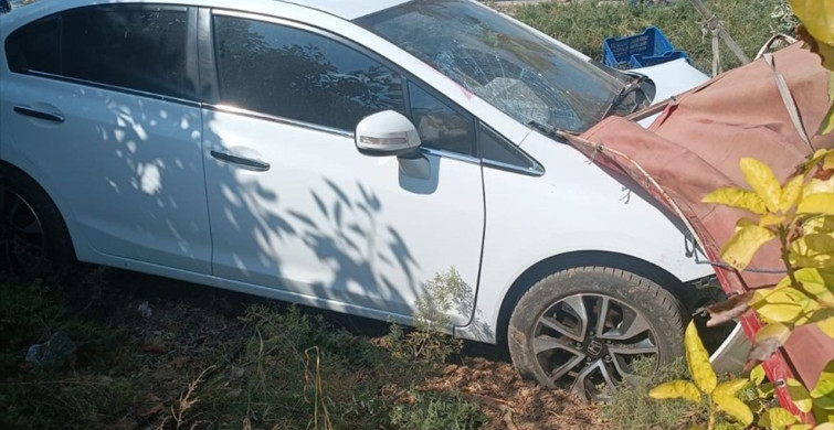 Mersin'de Zeytin Toplayan İşçilere Araç Çarptı