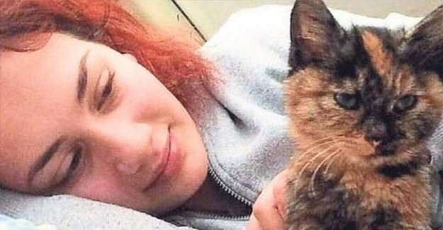 Merve’nin Anısına Sokak Hayvanları İçin Kampanya