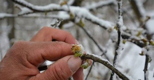 Meteoroloji'den Don Uyarısı
