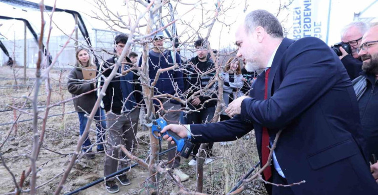 Meyve Ağaçlarında Budama Eğitimi İle Verimlilik Artıyor