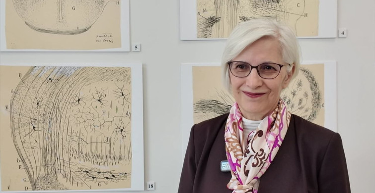 Migrenin Beyindeki Etkisi: Yeni Araştırma Sonuçları