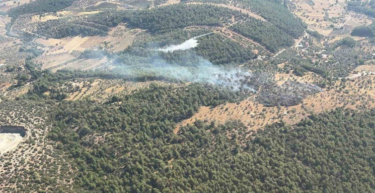 Milas’ta çıkan zirai yangın kontrol altına alındı