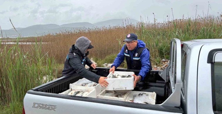 Milas'ta Kaçak Avcılığa Son: 80 Kilo Kefal Ele Geçirildi