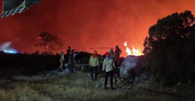 Milas’ta orman yangınına karadan müdahale sürüyor