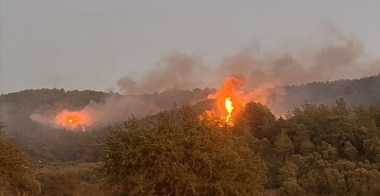 Milas'ta Orman Yangınına Müdahale Devam Ediyor