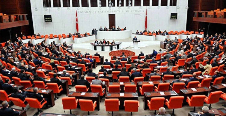 Milletvekili nedir, kimdir? Kimlere Milletvekili denir? Milletvekili görevleri ve yetkileri