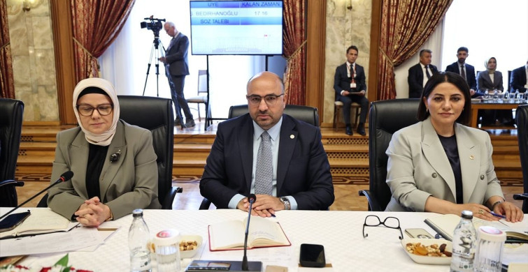 Milli Dayanışma ve Demokrasi Komisyonu Toplantısı