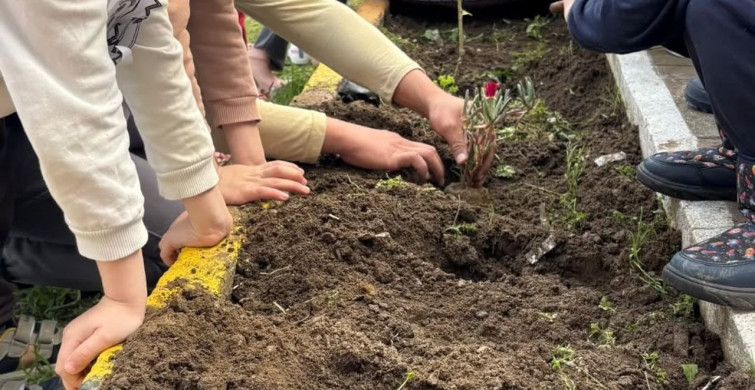 Minik Eller Fidan Dikti