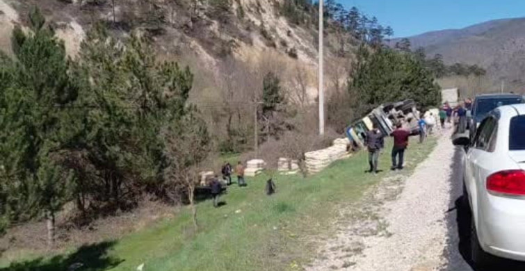 Mudurnu'da Tavuk Yüklü Kamyon Devrildi