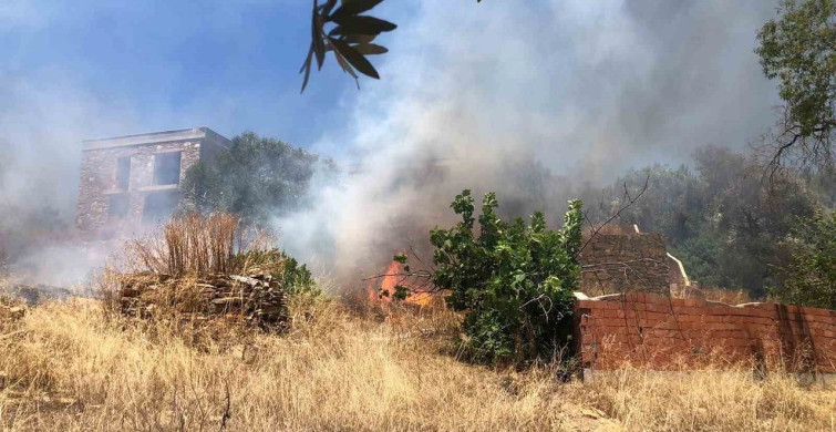 Muğla bodrumda rüzgar etkisiyle büyüyen yangın 1 saatte söndürüldü