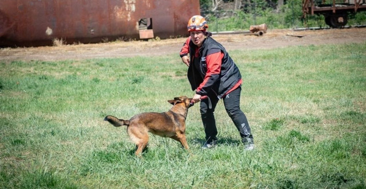 Muğla NAK Arama Kurtarma Köpekleri Macaristan'da Uluslararası Eğitimde Başarı Elde Etti