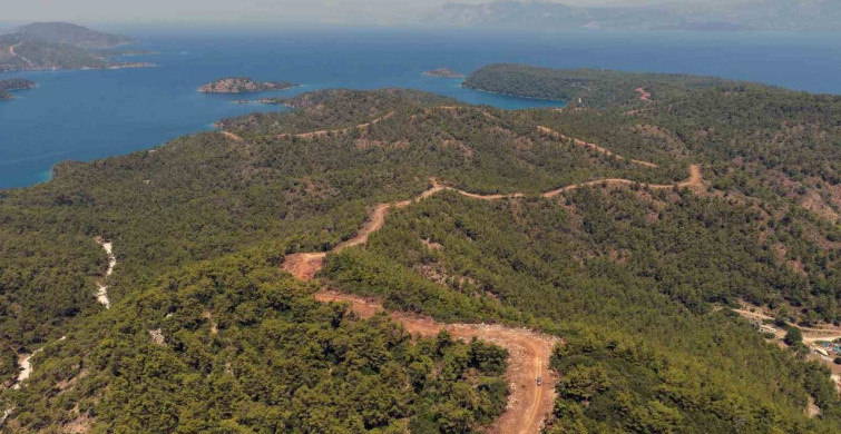 Muğla ve Aydın’da orman yangın şerit yolu uzunluğu 2 bin kilometreye çıkıyor