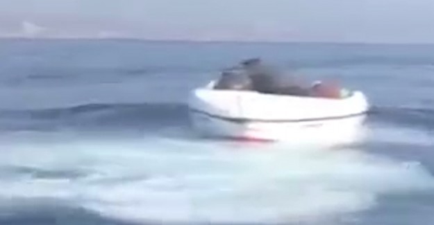 Muğla’da 12 Göçmen Yunanistan’a Geçmeye Çalışırken Yakalandı