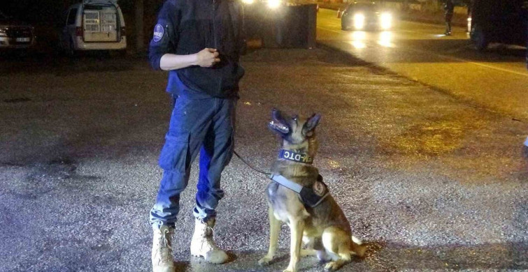 Muğla'da Gece Denetimi: Şüpheli Araçlar Durduruldu