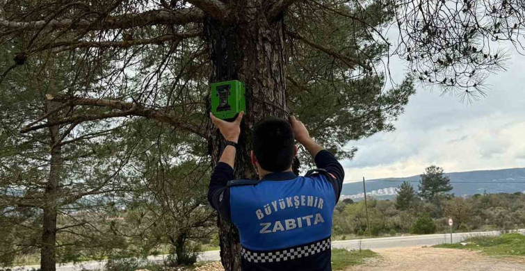 Muğla'da Kaçak Döküm Faaliyetlerine Karşı Etkili Önlemler