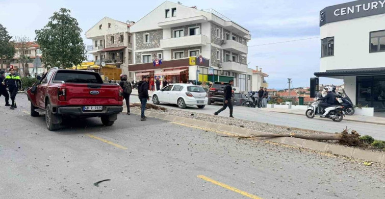 Muğla'da Kontrolden Çıkan Araç, İki Ağacı ve Elektrik Direğini Sökerek Durdurdu