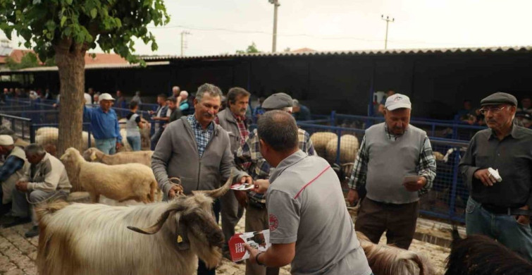 Muğla'da Kurban Pazarlarında Sıkı Denetim