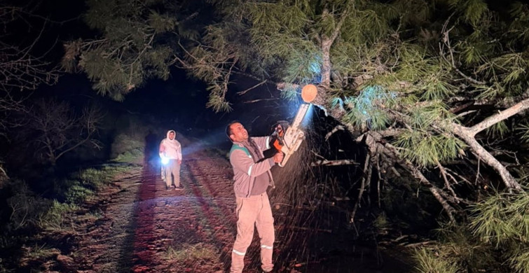 Muğla'da Kuvvetli Fırtına Etkili: Yaralılar ve Hasar Başladı