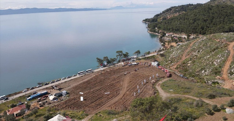 Muğla'da Orman Yangını Sonrası Yeşil Alanların Yeniden Canlandırılması