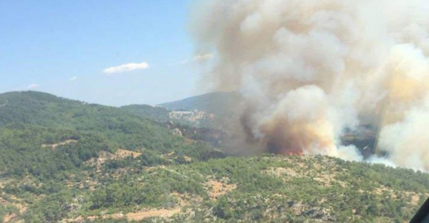 Muğla'da Orman Yangını