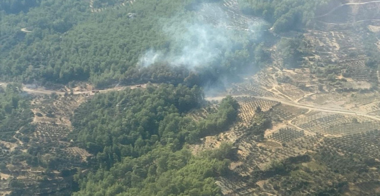 Muğla'da Orman Yangınına Müdahale Devam Ediyor