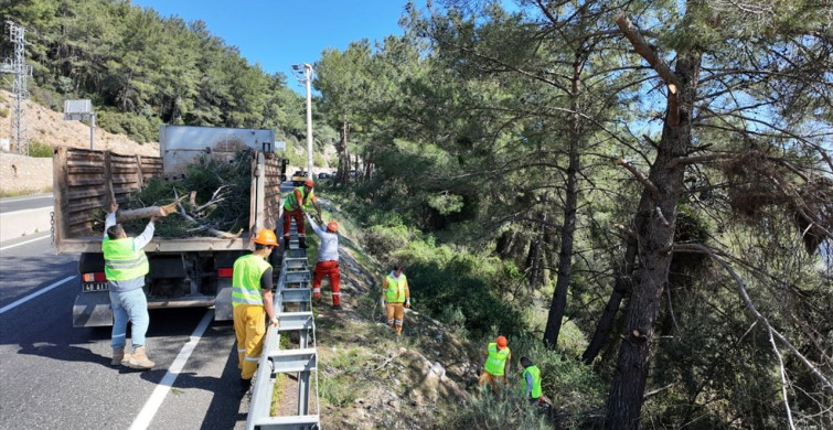 Muğla'da Orman Yangınları İçin Temizlik Çalışmaları