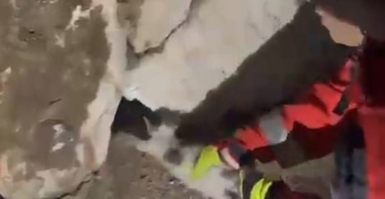 Muğla’da taş duvara sıkışan kedi itfaiye tarafından kurtarıldı