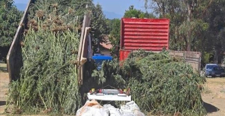 Muğla'da Uyuşturucu ve Tarihi Eser Kaçakçılığı Operasyonu