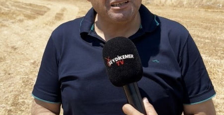 Muğla'da zirai alanda başlayan yangın ormana sıçradı, söndürme çalışmaları devam ediyor