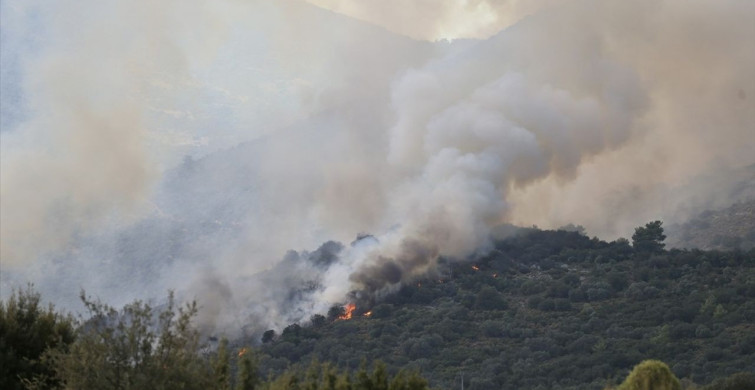 Muğla'daki Orman Yangını Kontrol Altına Alındı