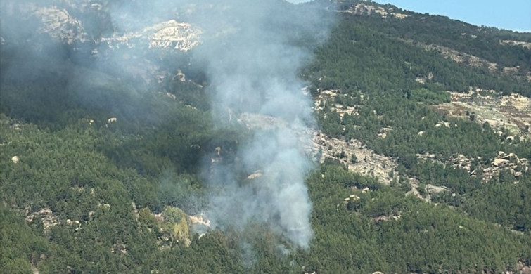 Muğla'daki Orman Yangını Kontrol Altında