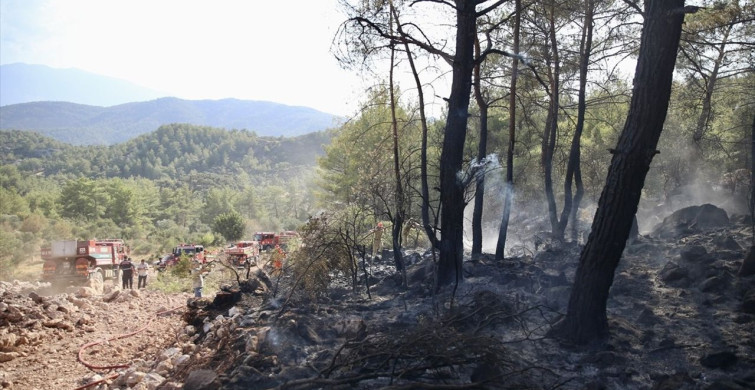 Muğla'daki Orman Yangını Kontrol Altında