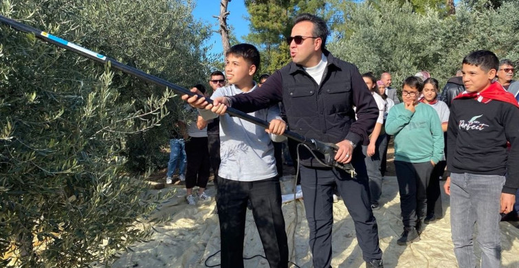 Muğla'nın Hyllarima Antik Kentinde Zeytin Hasadı Etkinliği