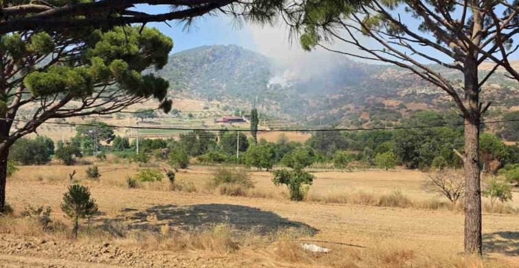 Muğla'nın Kavaklıdere ilçesinde orman yangını başladı
