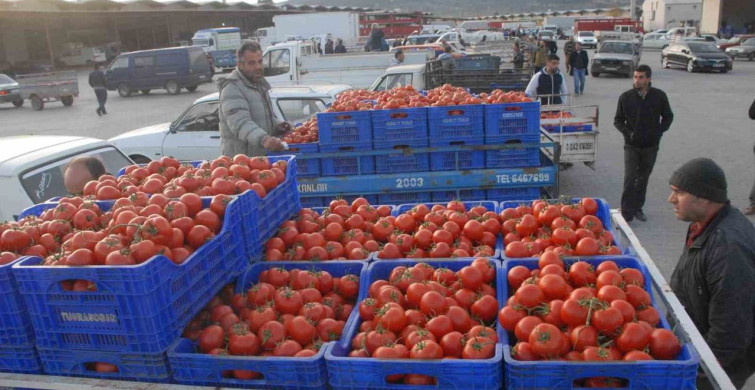 Muğla'nın Mayıs Ayı İhracatı 107 Milyon Dolar