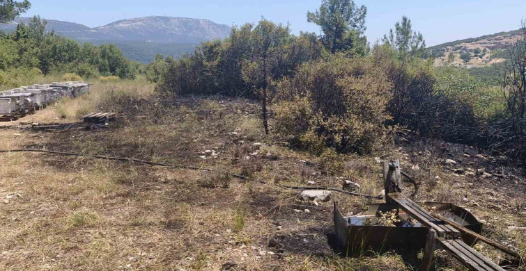 Muğla'nın Menteşe ilçesinde orman yangını kontrol altına alındı