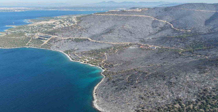 Muğla'nın Milas ilçesinde orman yangını kontrol altına alındı