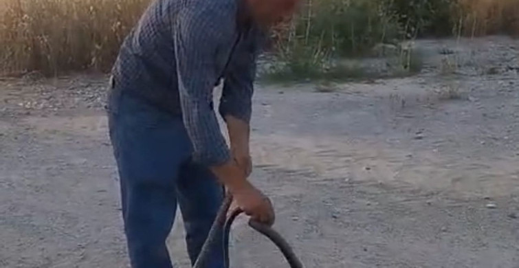 Muhtar, evlere giren yılanları eliyle yakalayarak doğaya bırakıyor