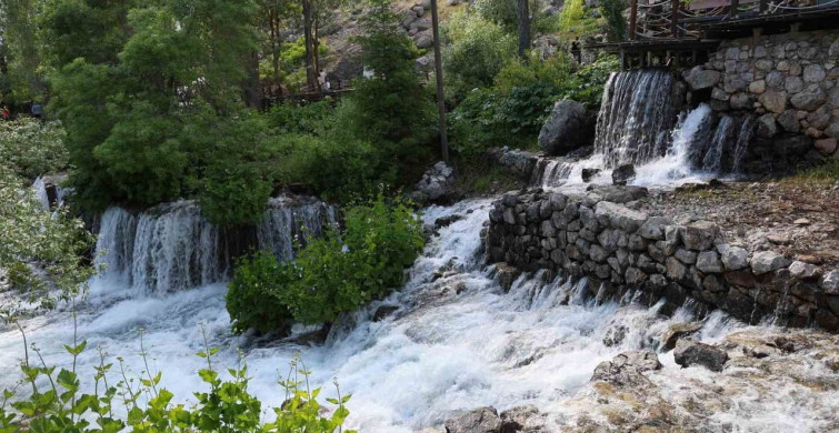 Munzur gözeleri'nde yaz yoğunluğu başladı