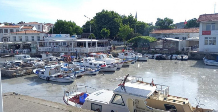 Müsilaj Tatil Cenneti Bozcaada'da Da Görüldü!