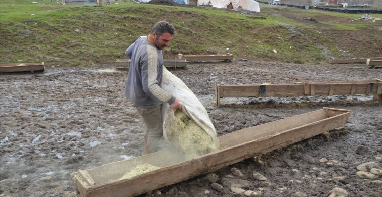 Muş'ta Besicilerin Zorlu Kış Mesaisi