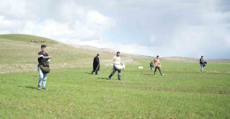 Muş'ta Çiftçiler İmece Usulü İle Tarlalarını Gübreliyor
