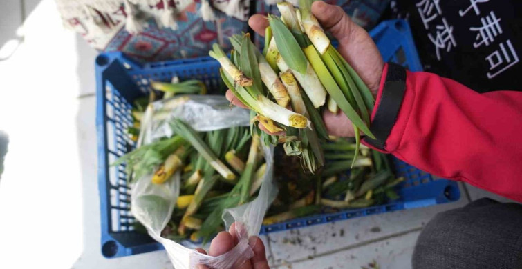 Muş'ta İhtiyaç Sahiplerine Yönelik Askıda Çiriş Otu Uygulaması