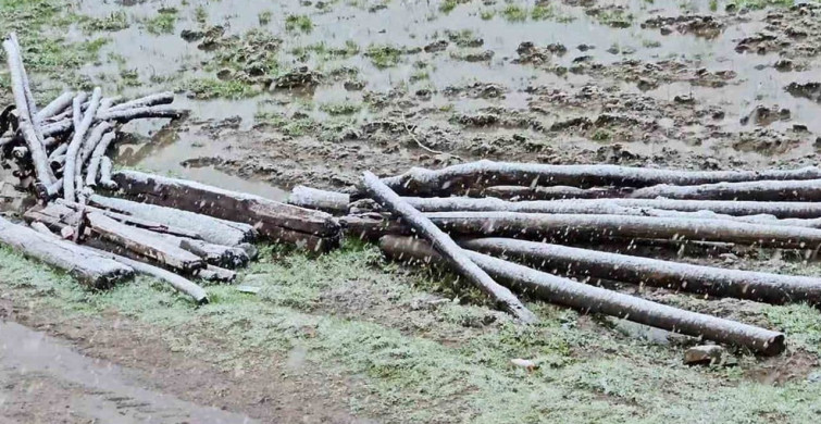 Muş’ta Nisan Karı Ulaşıma Engel Oluyor