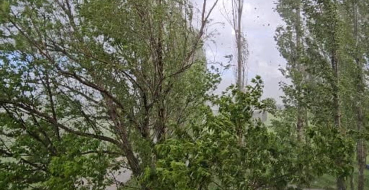 Muş'ta Şiddetli Dolu Kazaya Sebep Oldu
