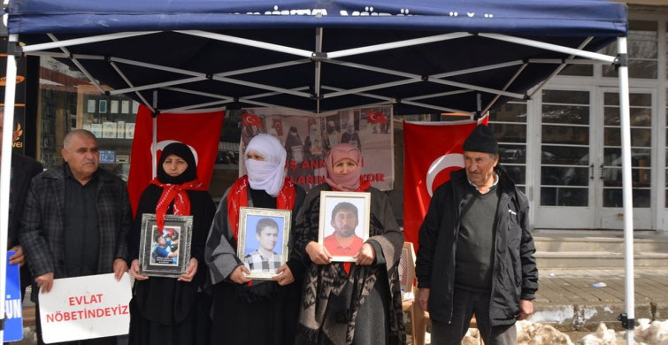 Muş'ta Terör Mağduru Ailelerin Eylemi Devam Ediyor