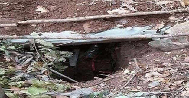 Muş'ta Terör Örgütü PKK'ya Ağır Darbe