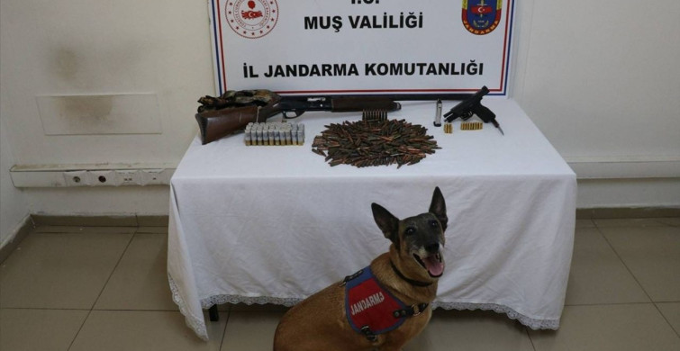 Muş'ta Tezek Altında Silah ve Mühimmat Ele Geçirildi