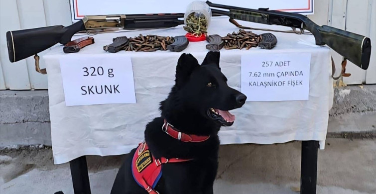 Muş'ta Uyuşturucu ve Mühimmat Operasyonu