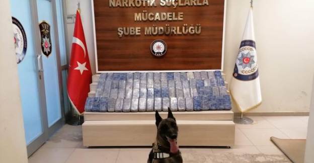 Narkotiğin Eğitimli Oscar'ı Van'da 74 Kilo Eroin Yakaladı